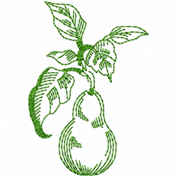 Pear Embroidery Design 11 Pear Embroidery Design 11